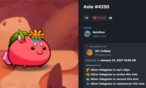 Fullboy.ron tweet media