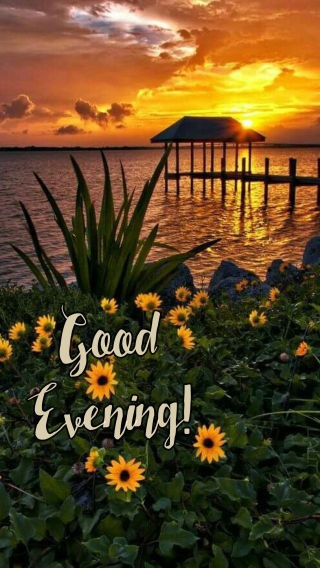 paalta_mahto's tweet image. Evening is the time for peace where 
 there is no tension to cease...

Good Evening X World 💫