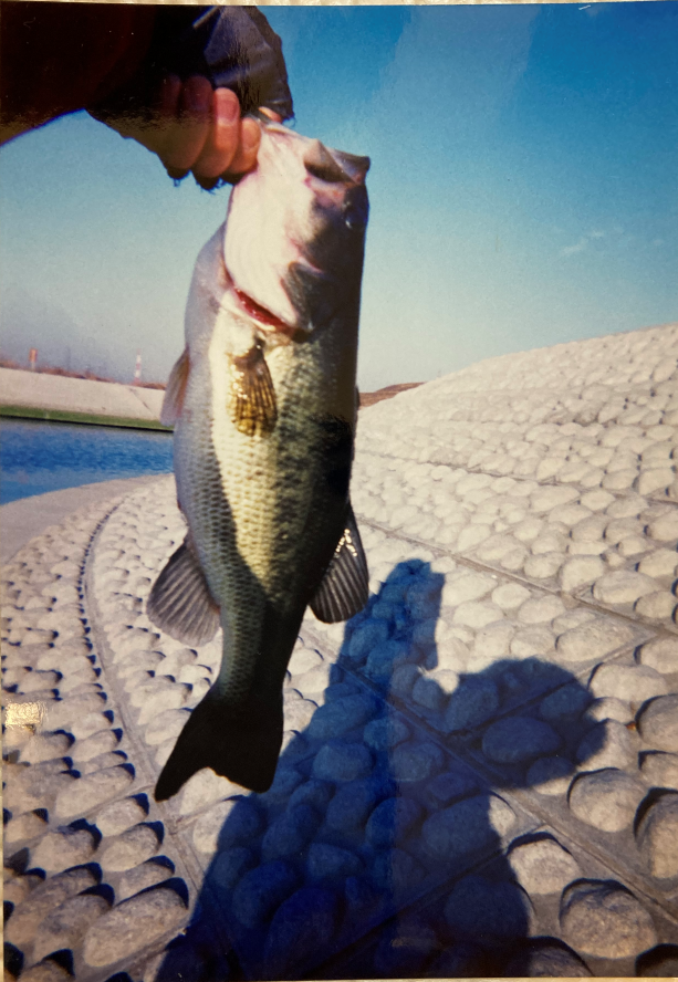 へらむぎ tweet media