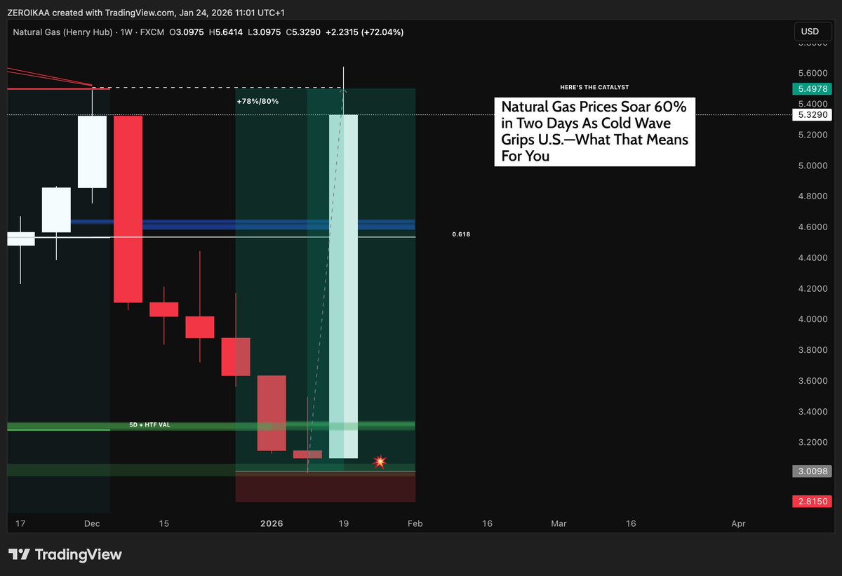 ZERO IKA 🗡️ tweet media