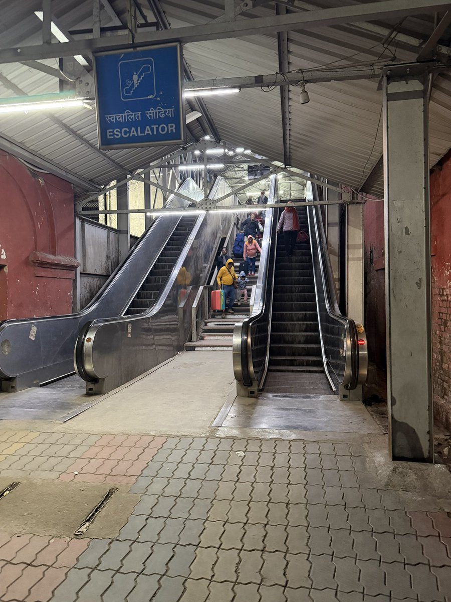 Stay Fit With Lucky tweet media