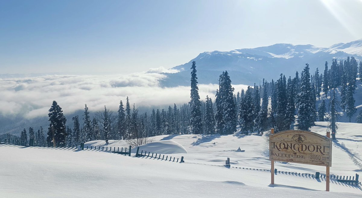 GoJammukashmir's tweet photo. When the sun meets fresh snowfall in Gulmarg https://t.co/EZsF05yRUT