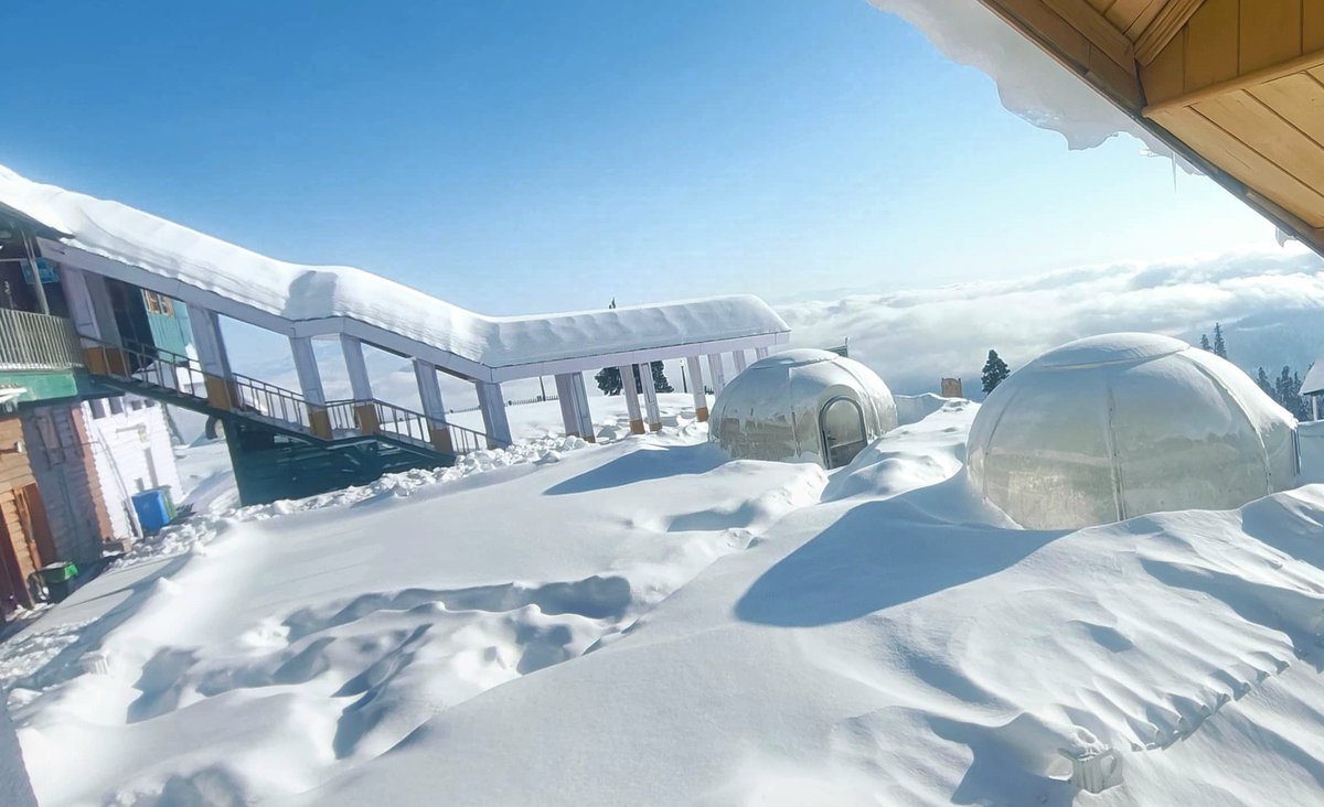 When the sun meets fresh snowfall in Gulmarg