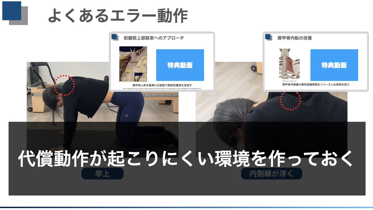 pushのエクササイズでよく起こる代償動作として『肩甲骨挙上前傾、翼状肩甲』  これらを少しでも出さずに前鋸筋を活性させるには働きやすい環境を作っておくことも大切です。  本日配信の特典動画でいち早く見れますので前鋸筋について深めたい方はぜひよろしくお願いいたし ...