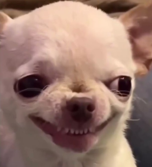 JΞRRY💎(⚡️) (@not_blanck) on Twitter photo 