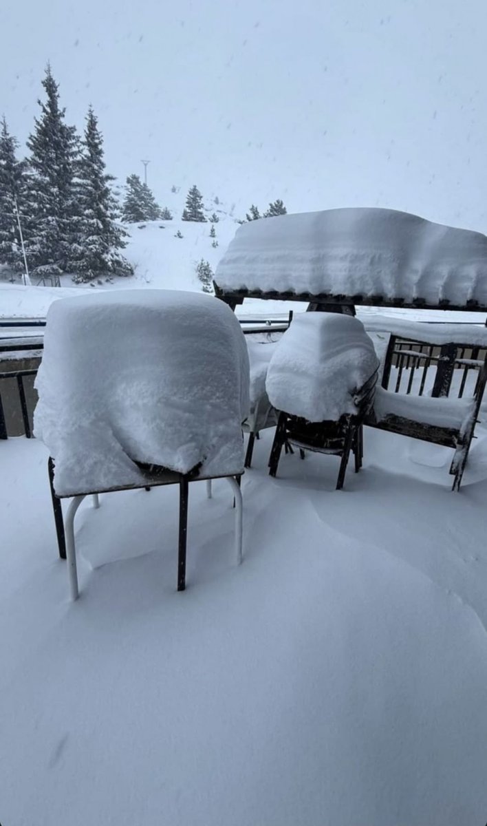 Somport 24-1-2026 Sábado.

Fuente: instagram.com/albergueaysa/