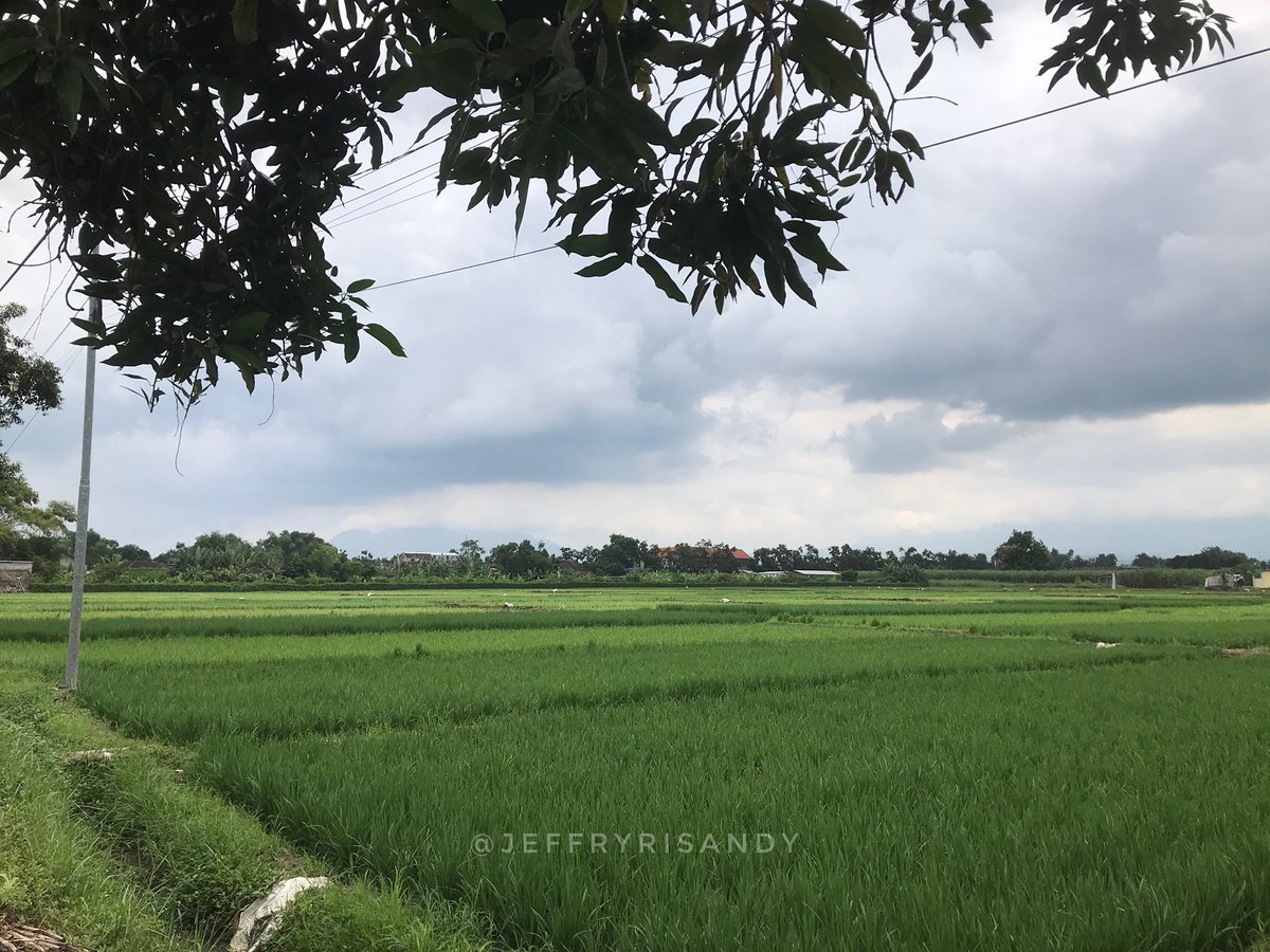 sedang sibuk menikmati pemandangan sederhana yang ga ditemuin di perkotaan, sebelum besok sore cuma bisa memikirkan lusa 🥦