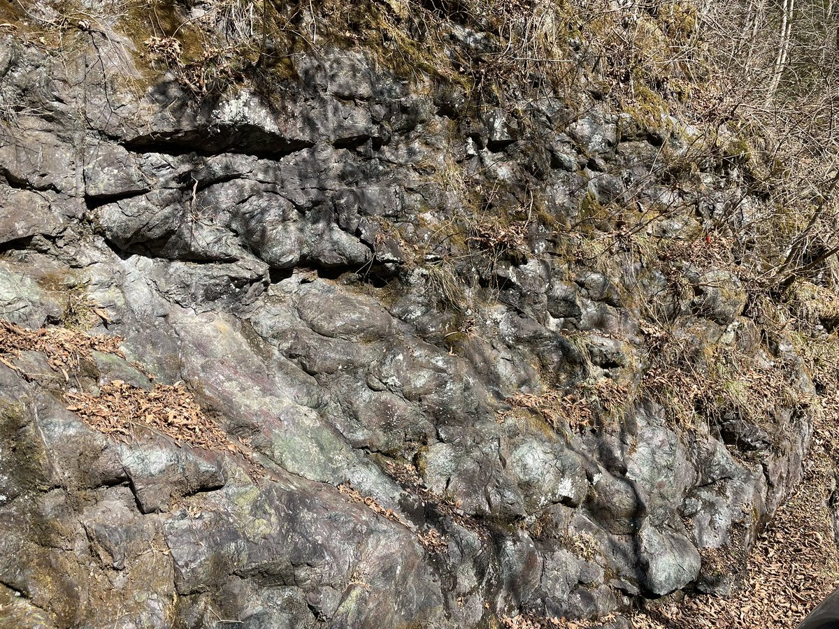 つじとも tweet media