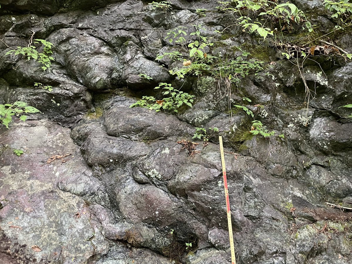 つじとも tweet media