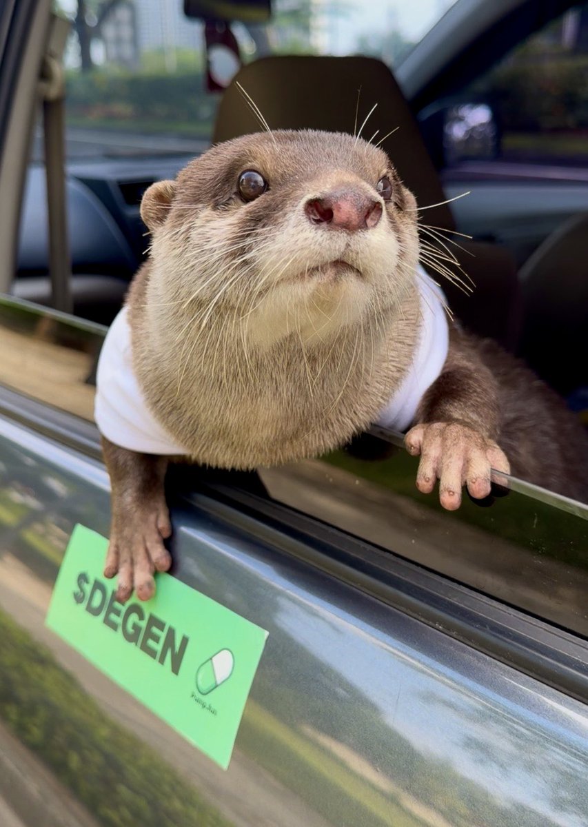 GochamFBI🎨🔶 tweet media