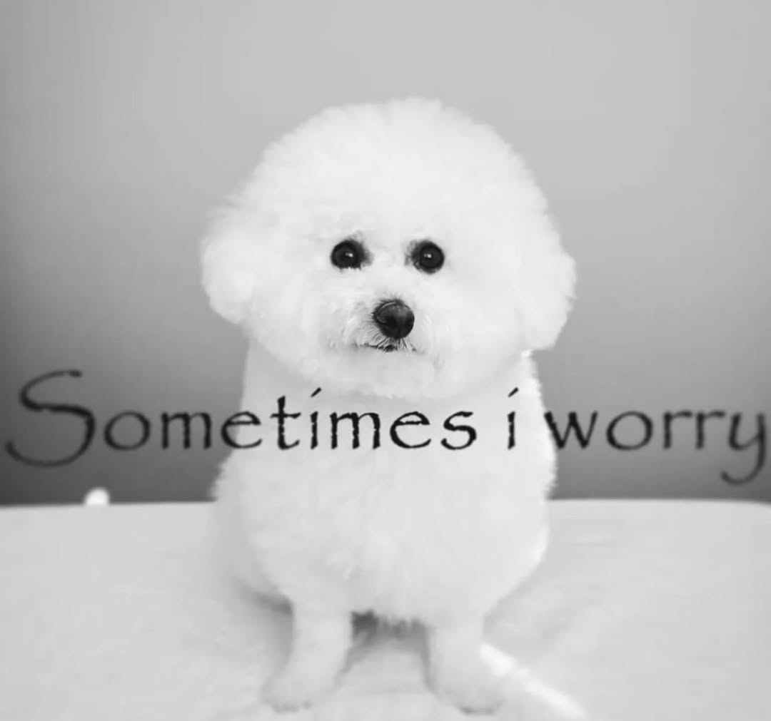 Grande (@sixrande) on Twitter photo 