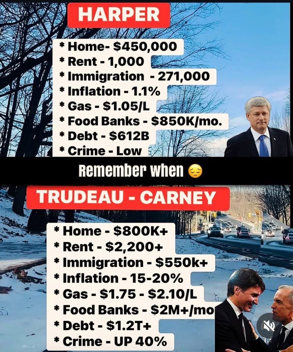 JayGenXer's tweet image. Miss Harper yet??