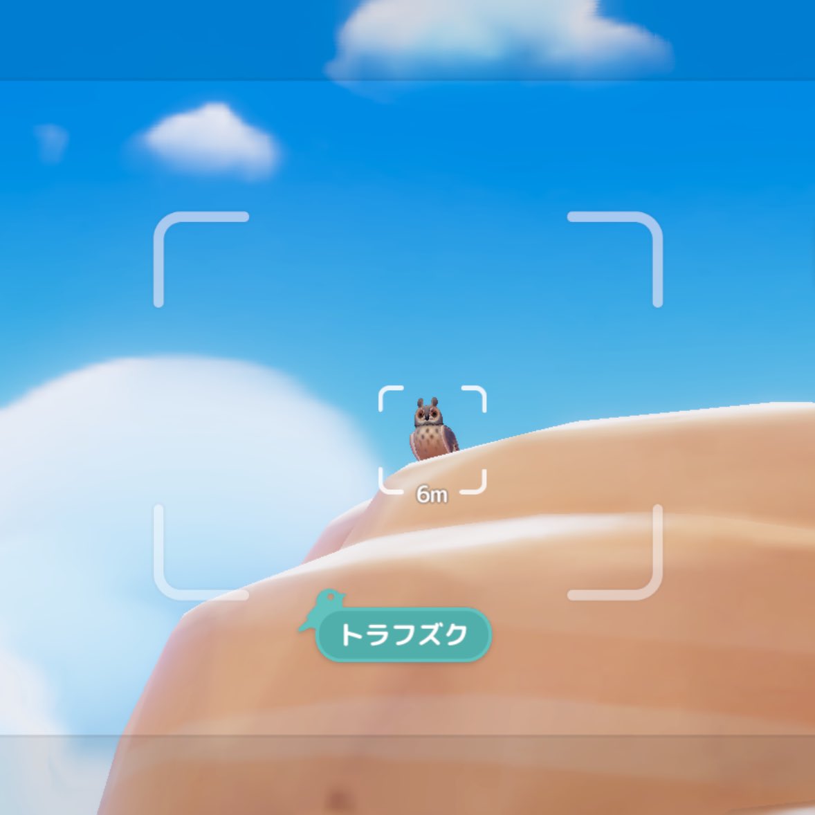 piahart__367's tweet image. 🌟ハートピア野鳥図鑑🌟

トラフズク発見！
温泉山の崖付近にいました！！🌋♨️

#ハートピア #ハートピアスローライフ 
 #ハートピア野鳥図鑑