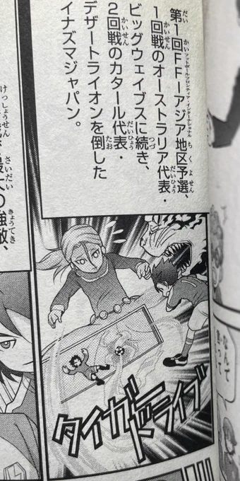 久しぶりにイナスペ見たらデザートライオン戦がキャプテン不在の1コマで終わってて草原どころか砂漠 