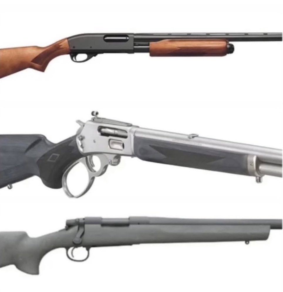 Guns Daily tweet media