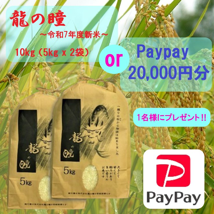 cocona_80's tweet photo. 🎁✨超豪華プレゼント✨🎁

話題のお米🌾『龍の瞳』令和7年度新米10kg
or
PayPay20,000円💸

＼抽選で1名様に当たる‼／

✅応募条件
1️ フォロー
2️ この投稿をRT&amp;いいね💖

⏰締切：1月26日23:59まで

参加は今すぐ👇😆🔥 https://t.co/7lQnAhVelW
