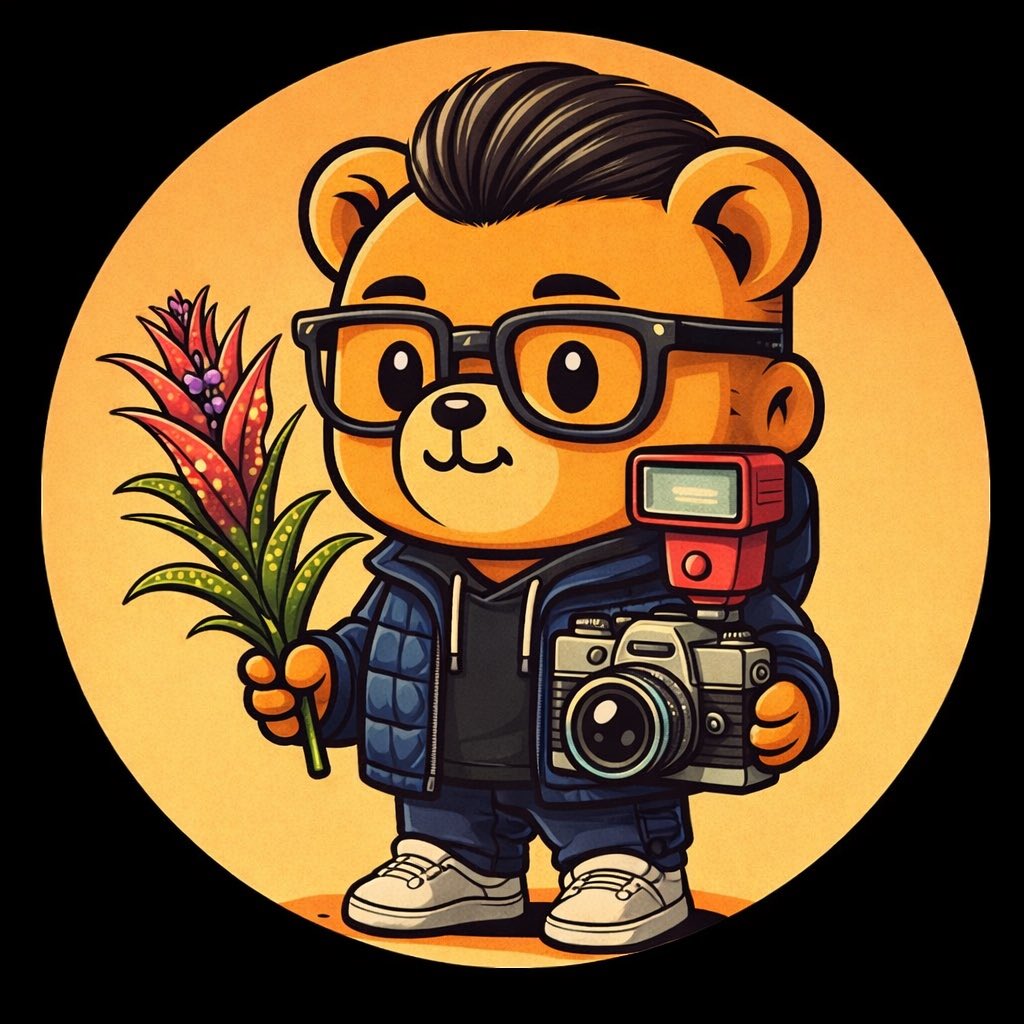 Tilla_Bromeliad's tweet photo. 冬バージョン https://t.co/vLuJJCappj