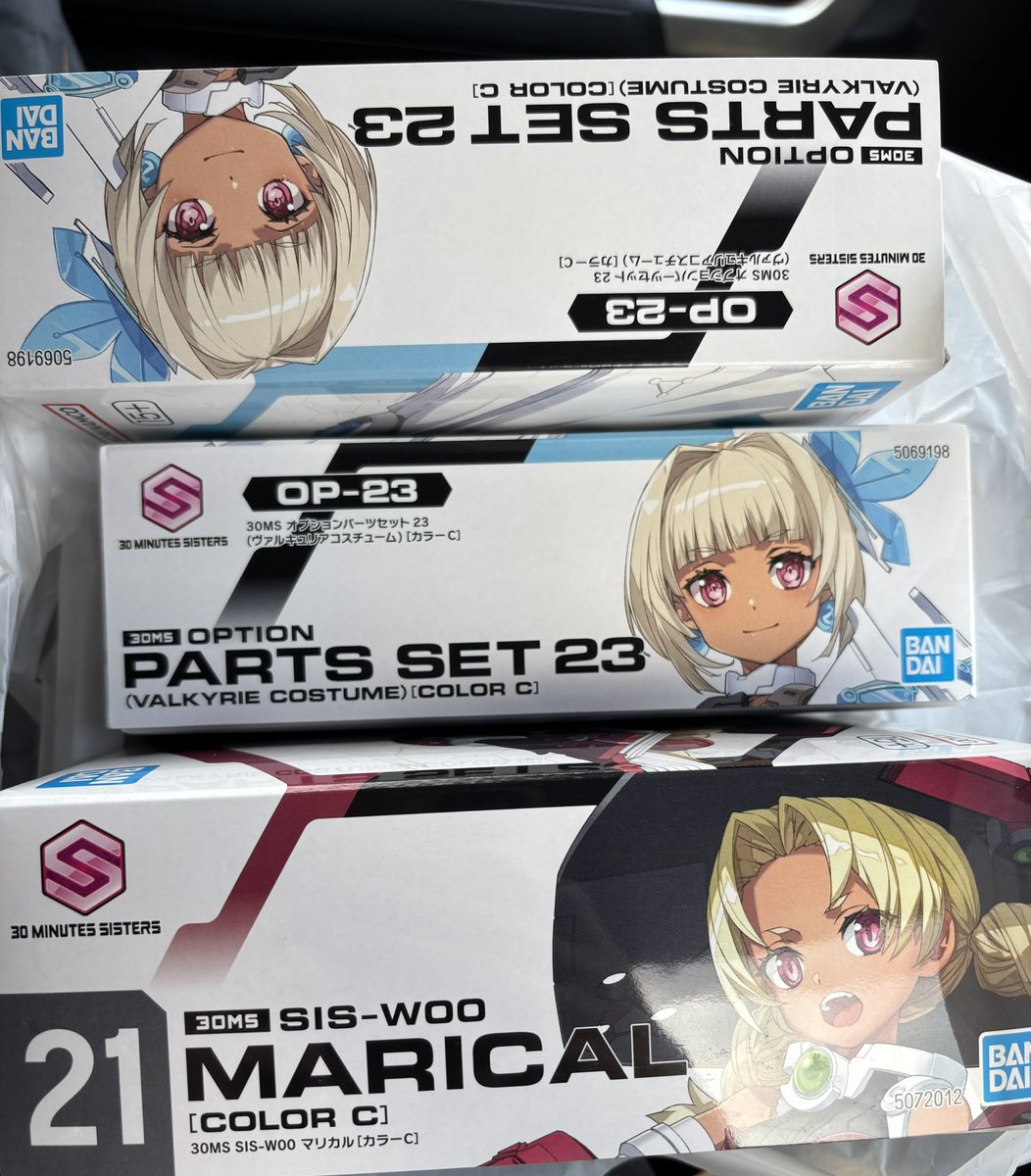 marrymoon #marrymoon🎀 #マリームーン #サキュバス #サキュバスメイド #例のプール 敦*司様 ３０ms　マリカル&ヴァルキュリアコス