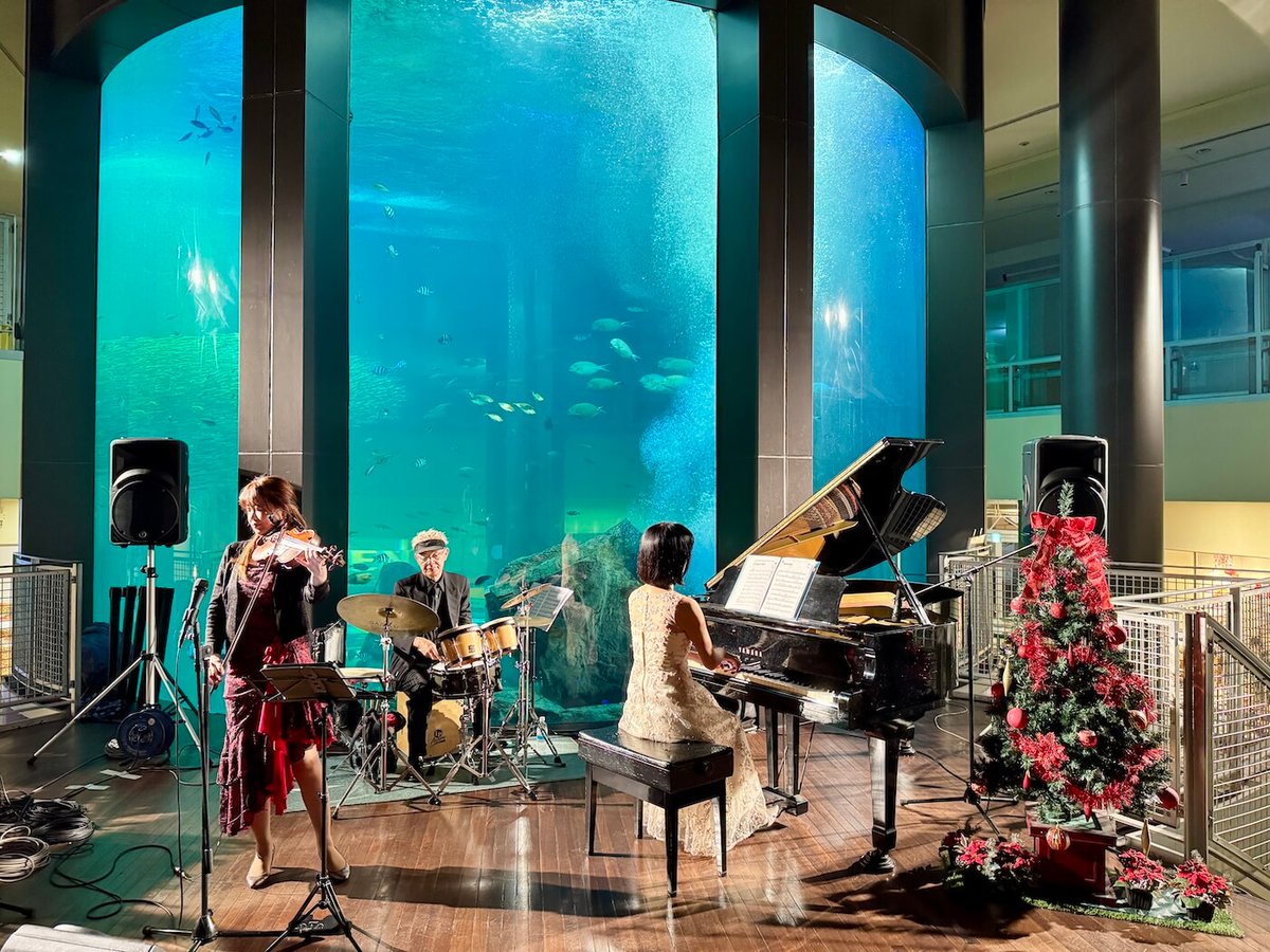 1/24 Bayside Jazz Night
bit.ly/49CcvdS 
日本語： bit.ly/4qhsK7f 

#Jazz
#MusicEvent
#Live
#FukuokaEvent
#FukuokaTrip
#FukuokaNow
#福岡イベント
#福岡おでかけ
#福岡NOW