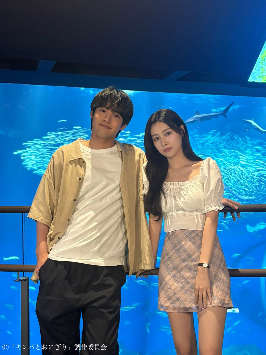 tx_premiere23's tweet photo. 🍙#キンパとおにぎり🫶
第3話 1月26日（月）夜11時6分から放送！
放送と同時にNetflixで世界独占見放題配信📣

📸オフショット
大水槽をバックに大河（#赤楚衛二）と
リン（カンへウォン）のオフショットを
お届け🕊️
Instagramでは別カット公開中🙌
合わせてお楽しください🤍

▶︎TVerでは1話･2話見逃し配信中！
ぜひ何度でもお楽しみください✨
>> https://t.co/W5paKezLZQ
お気に入り登録よろしくお願いします❤︎

#赤楚衛二 #カンへウォン #첫입에반하다 #아카소에이지 #강혜원