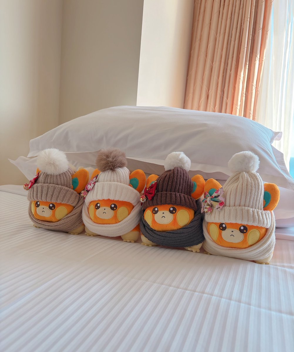 ムッパモブラザーズ、ホテルに到着