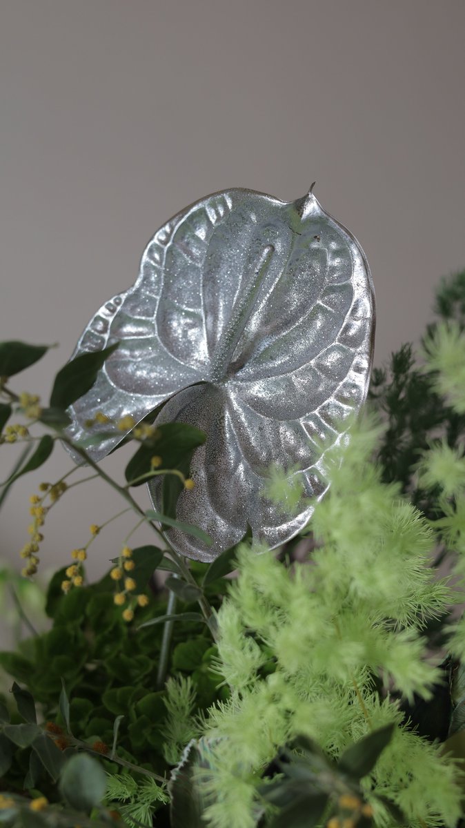 DC 김재중 갤러리 tweet media