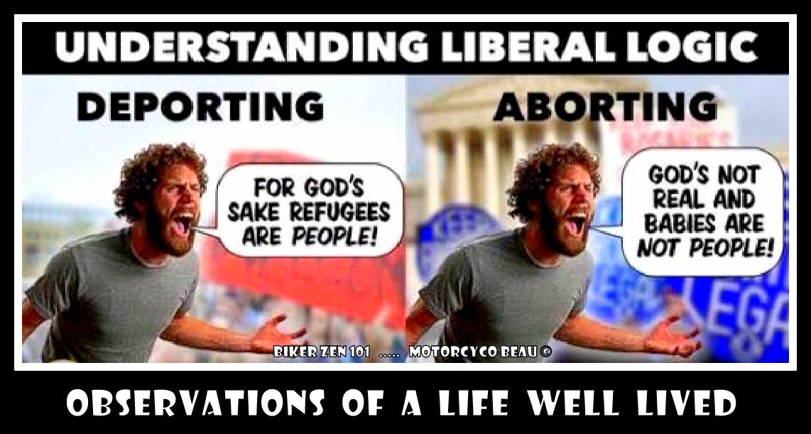 It's not about whether I understand the logic of the Left ...

It's about how the hell they can believe themselves. 
_________________