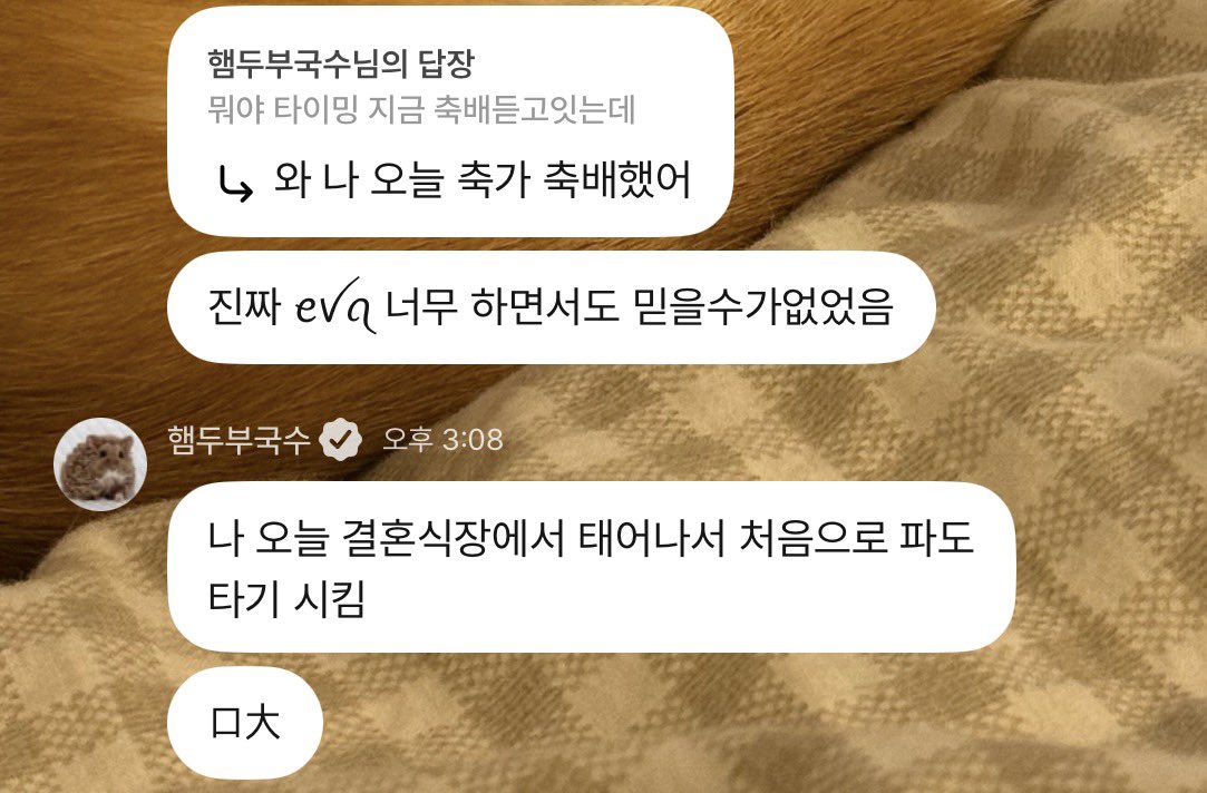 결혼식장 파도타기 샤갈
