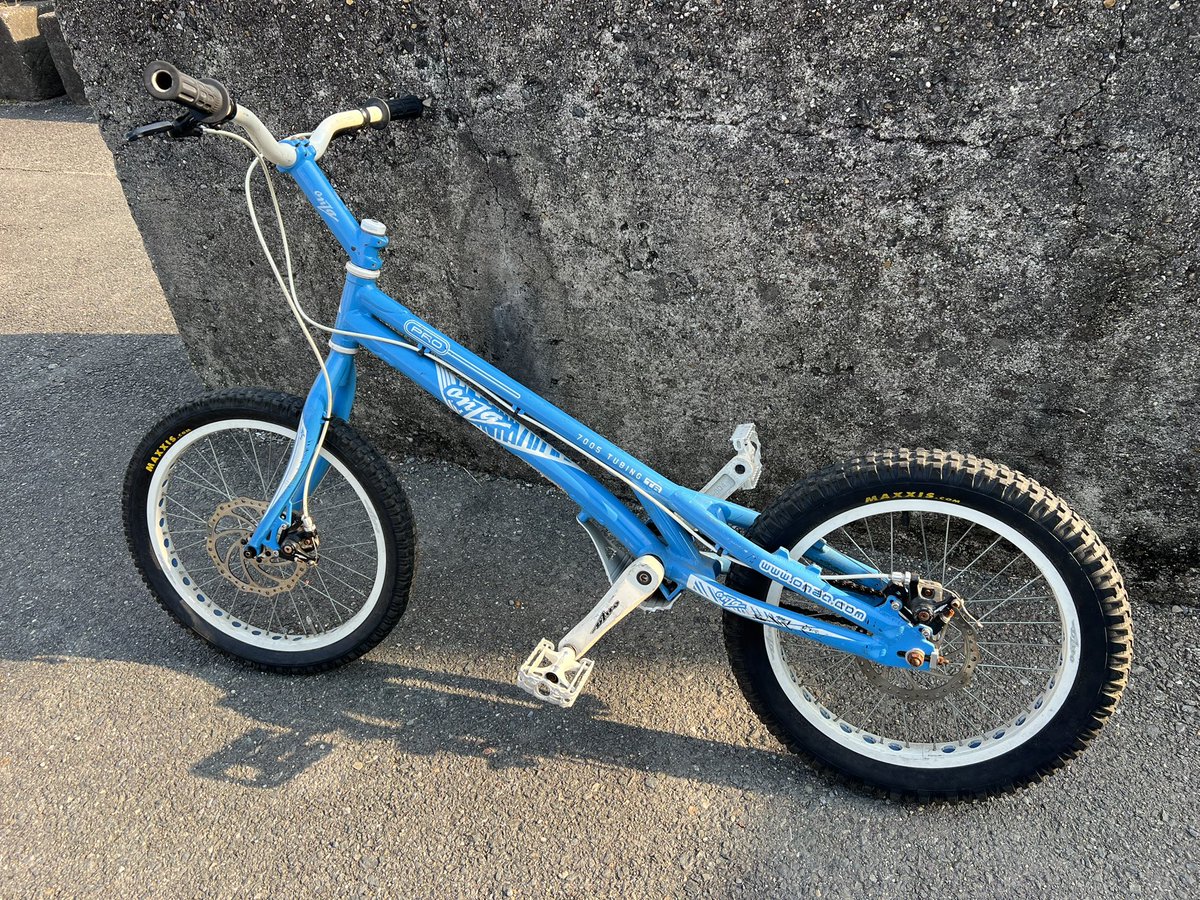 トラチャリトレーニング