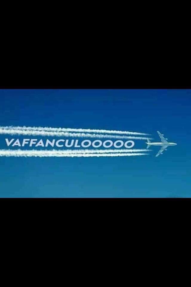 Ralph Wolf 🏴☠️ tweet media