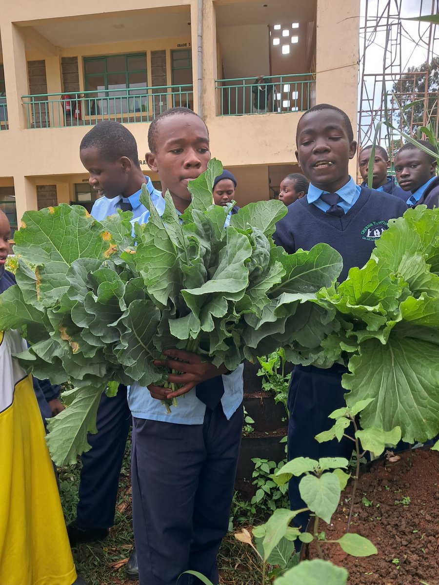 Thehummingbirdf's tweet photo. The Hummingbird Foundation, establishes and nurtures school gardens, where children learn to grow healthy food and care for their environment through hands-on experience.

We’re always looking to connect with partners who share this vision. https://t.co/CrhodFPto8
