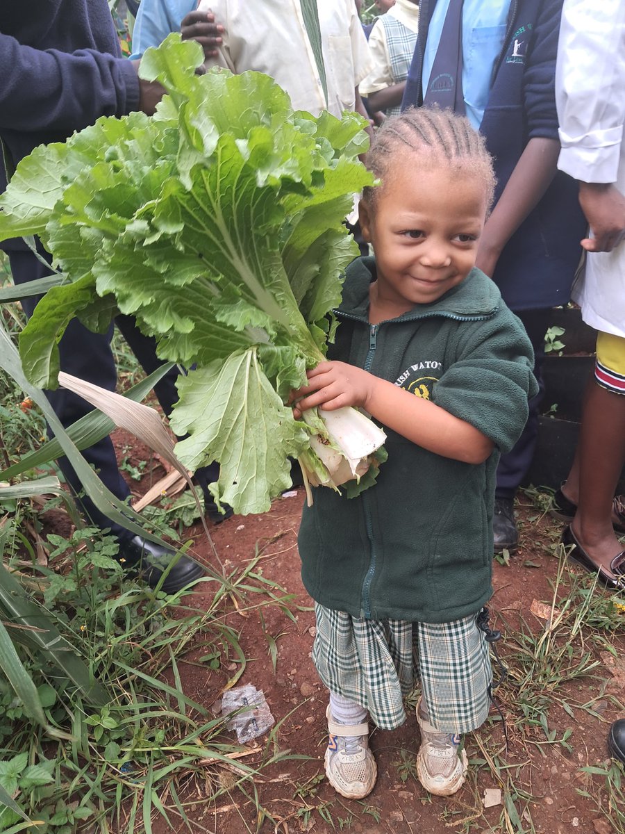 Thehummingbirdf's tweet photo. The Hummingbird Foundation, establishes and nurtures school gardens, where children learn to grow healthy food and care for their environment through hands-on experience.

We’re always looking to connect with partners who share this vision. https://t.co/CrhodFPto8