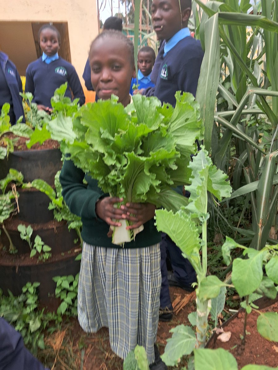 Thehummingbirdf's tweet photo. The Hummingbird Foundation, establishes and nurtures school gardens, where children learn to grow healthy food and care for their environment through hands-on experience.

We’re always looking to connect with partners who share this vision. https://t.co/CrhodFPto8