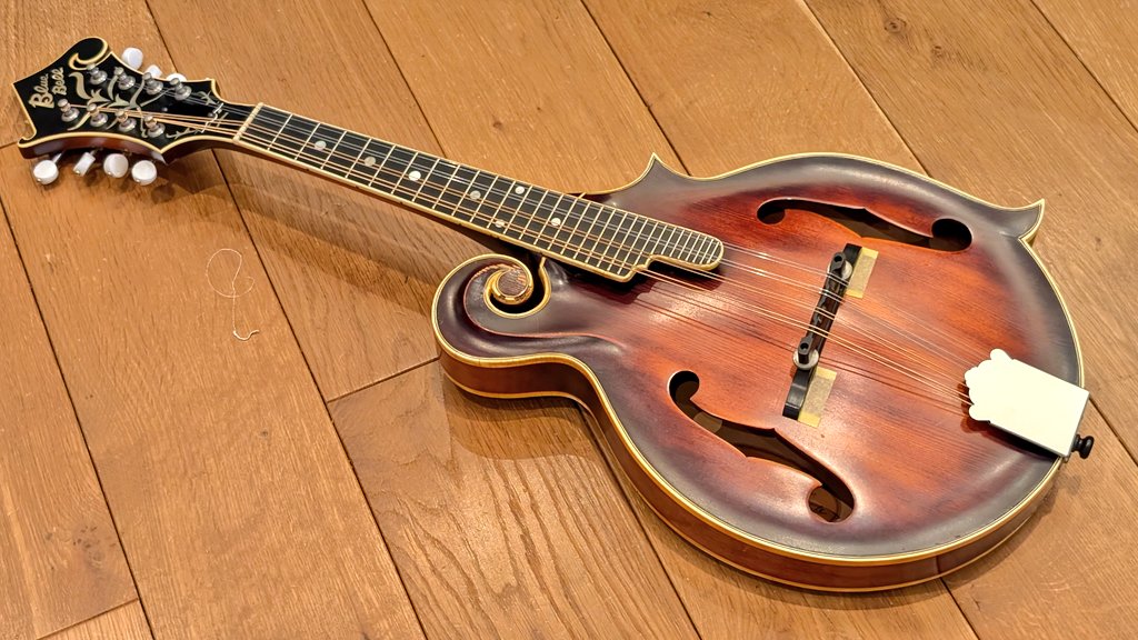 みどちゃん (@rebelrebel7) / Posts / X