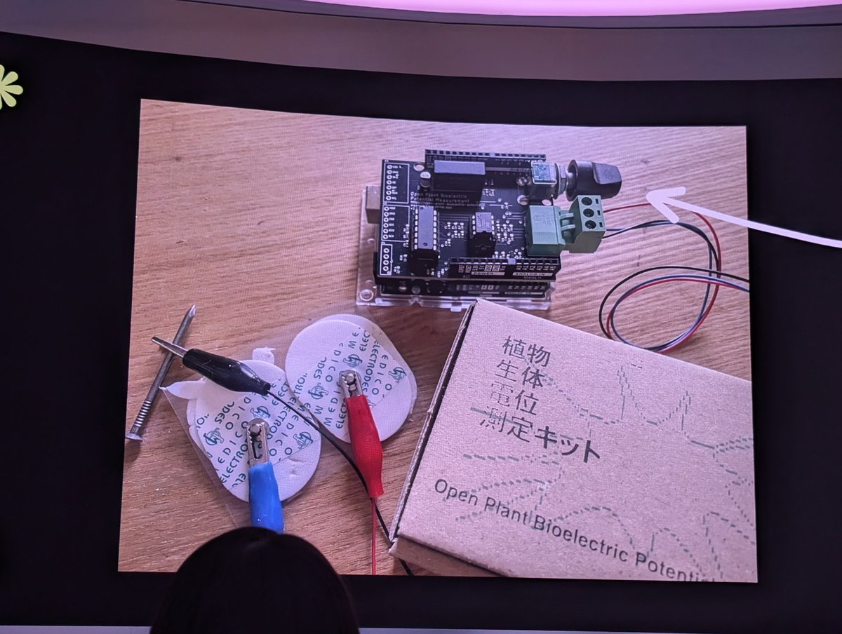 Anushka Trivedi・あん tweet media