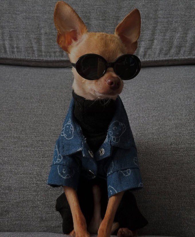 Ne_Ne59's tweet image. Good morning 
May your day be as beautiful as you are.