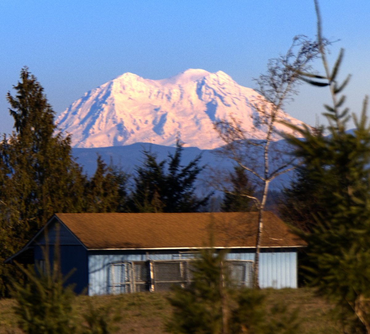 Larry_Nevinger's tweet photo. Viewing Mount Rainier from Lewis County, WA. This mountain originally known to Native Americans as Talol.
#valcano #NaturePhotography #Outdoor Photographer https://t.co/OWw6hGhngH