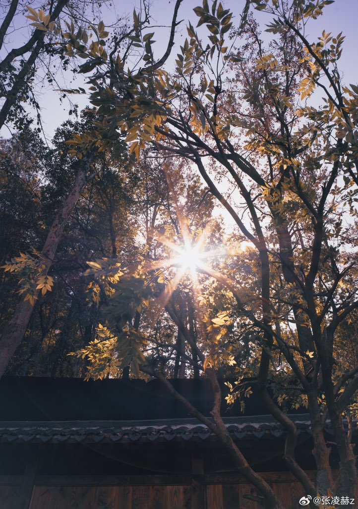 Ling He was truly captivated by photography.

#Zhanglinghe #张凌赫 #장릉혁 #จางหลิงเฮ่อ