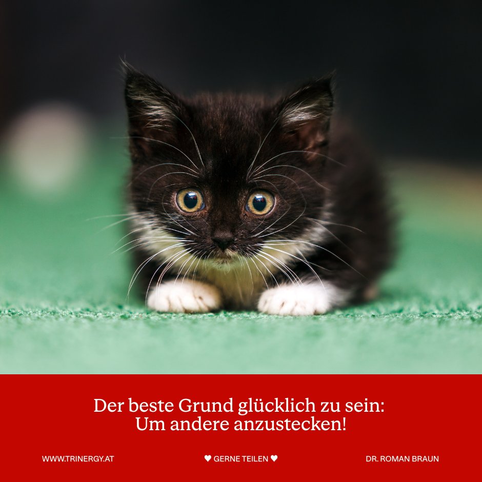 romanbraun's tweet photo. Glück wirkt selten still.
Es zeigt sich in Blicken, Worten und im Umgang miteinander.
Was Du in Dir nährst, findet oft seinen Weg zu anderen zurück. 😊

#Trinergy #RomanBraun #NLP #Glücklich #Miteinander https://t.co/XvrJNKJdRy