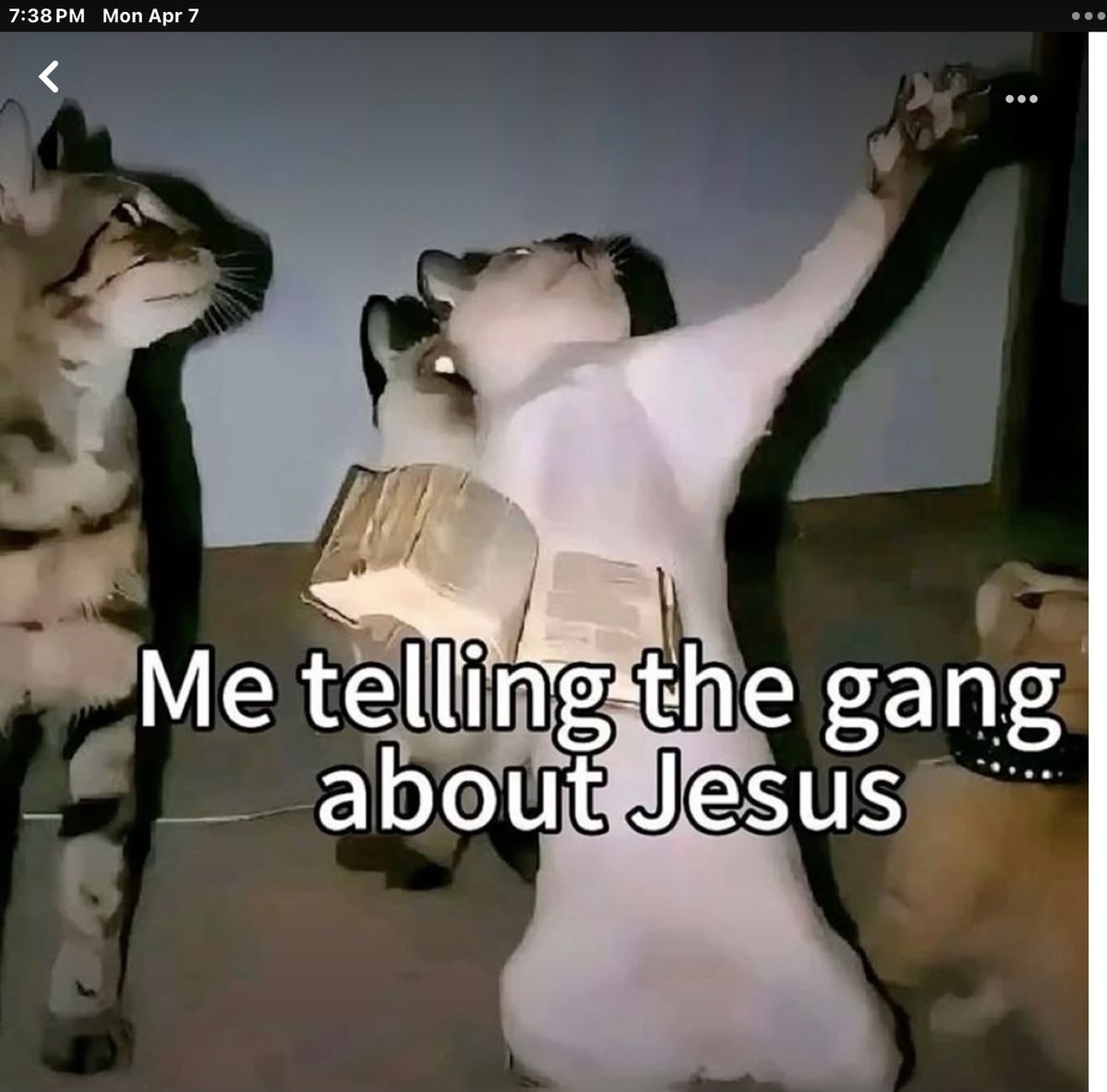 holyhumorr's tweet photo. https://t.co/zNUB8HVqqK