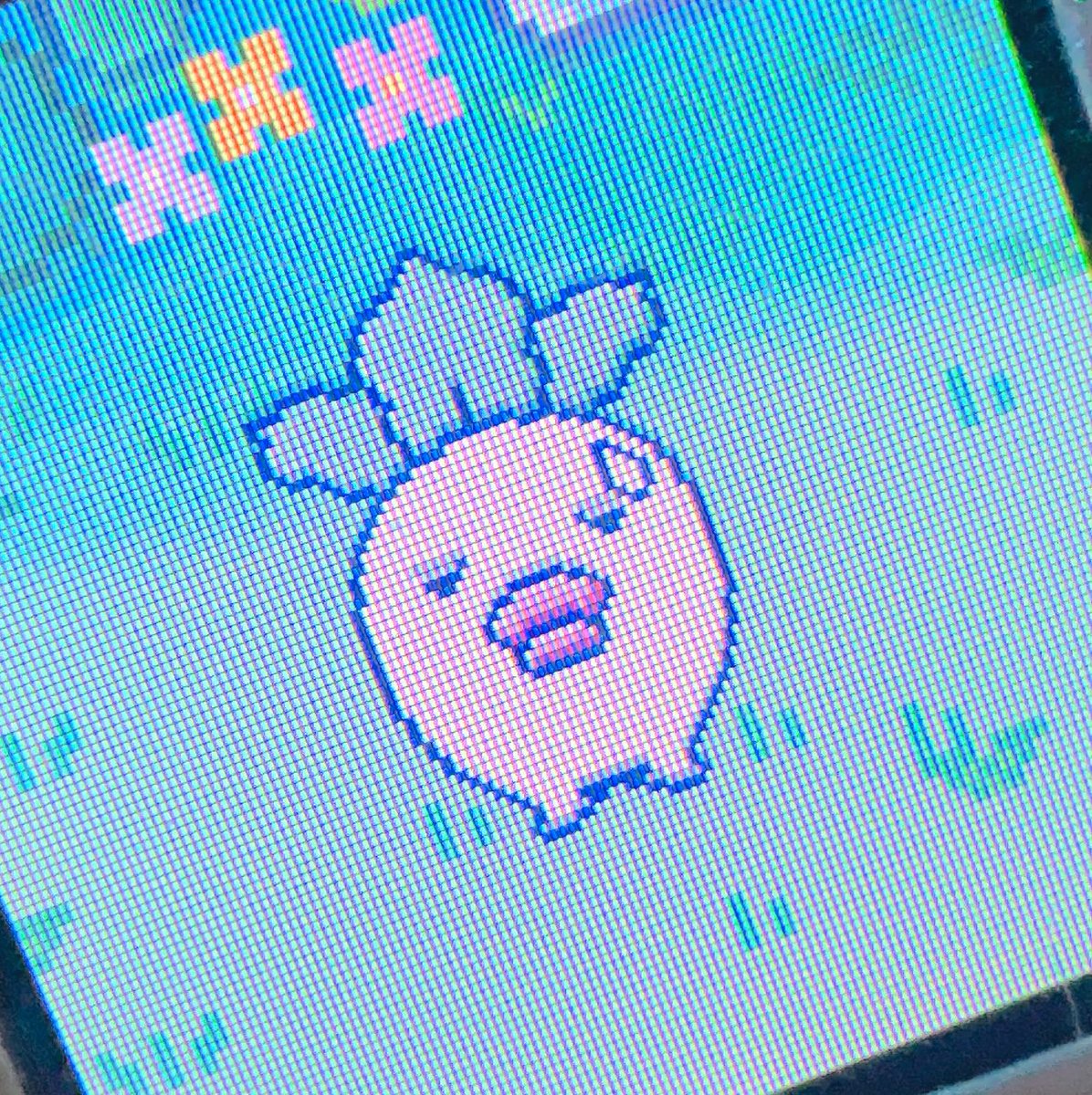 こはくうるのような生き物 tweet media