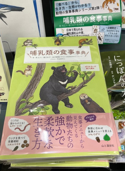 ながこです(⁠*⁠˘⁠︶⁠˘⁠*⁠)⁠ Happy birthday テスーーー！！ @thisis9493 #ケツとタッパのでかい女