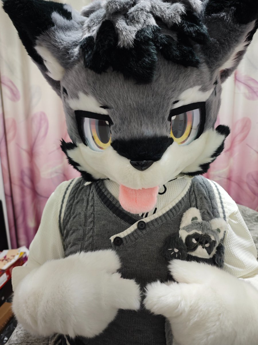 Kingsle49982723's tweet photo. 是一岁生日前的呆呆半~ https://t.co/sMI6FbUkHW