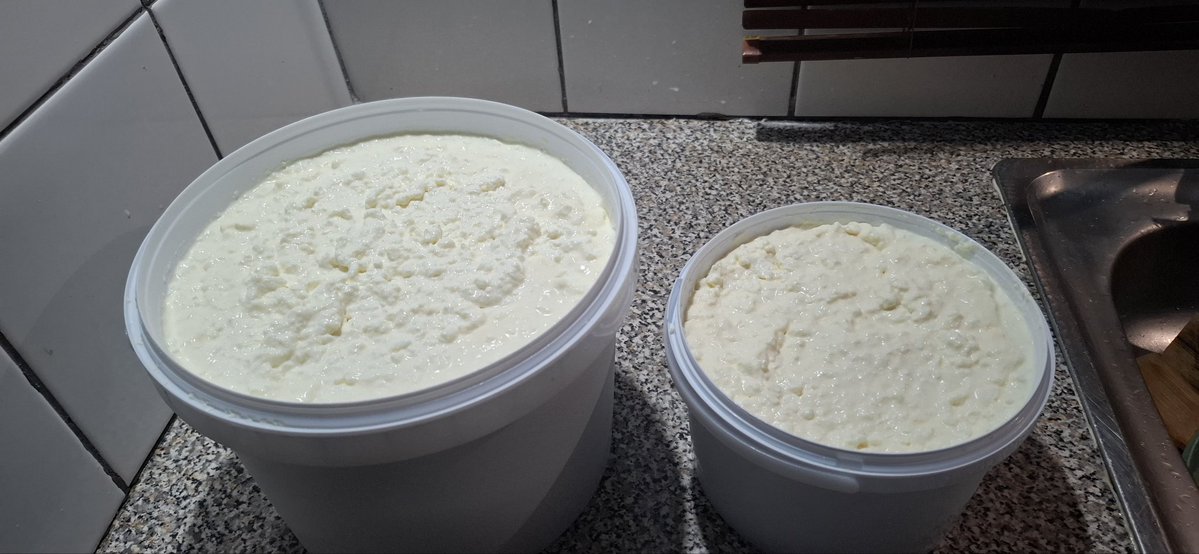 We just woke up to these delicacy 😋🥰. 1L ingu E60 , 2l for E120 and a discounted price of  5l  @ E250. All prepacked (meaning it comes with the container)

Call 7963 3031 / 7870 1665
. #TiniTwitter 🇸🇿  Mbabane , Sidvwashini 📍