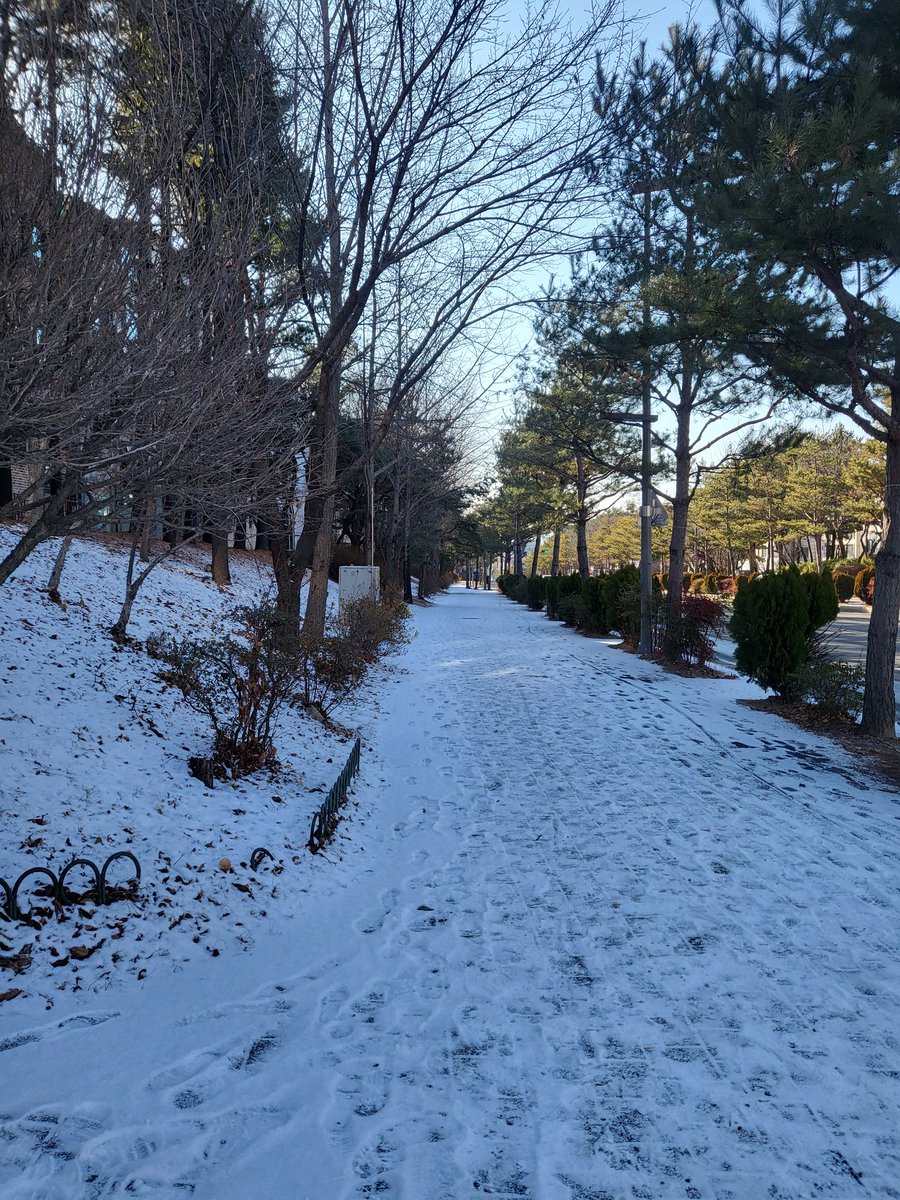 대전채아(트젠) tweet media