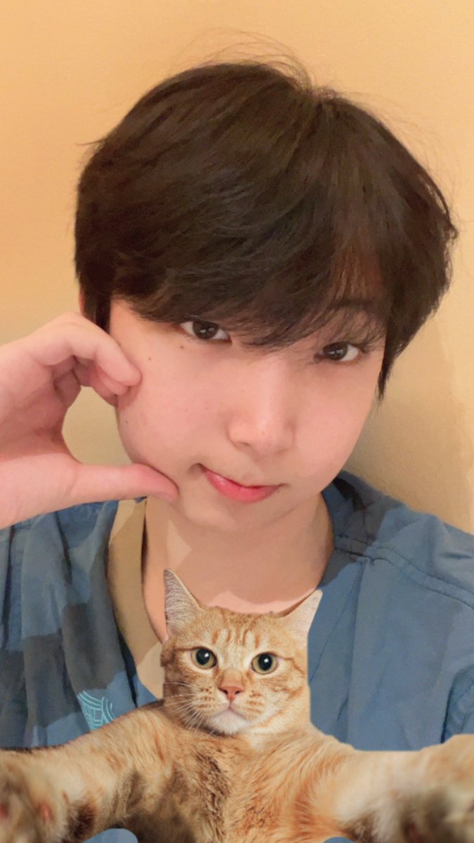 彬彬🧐 tweet media