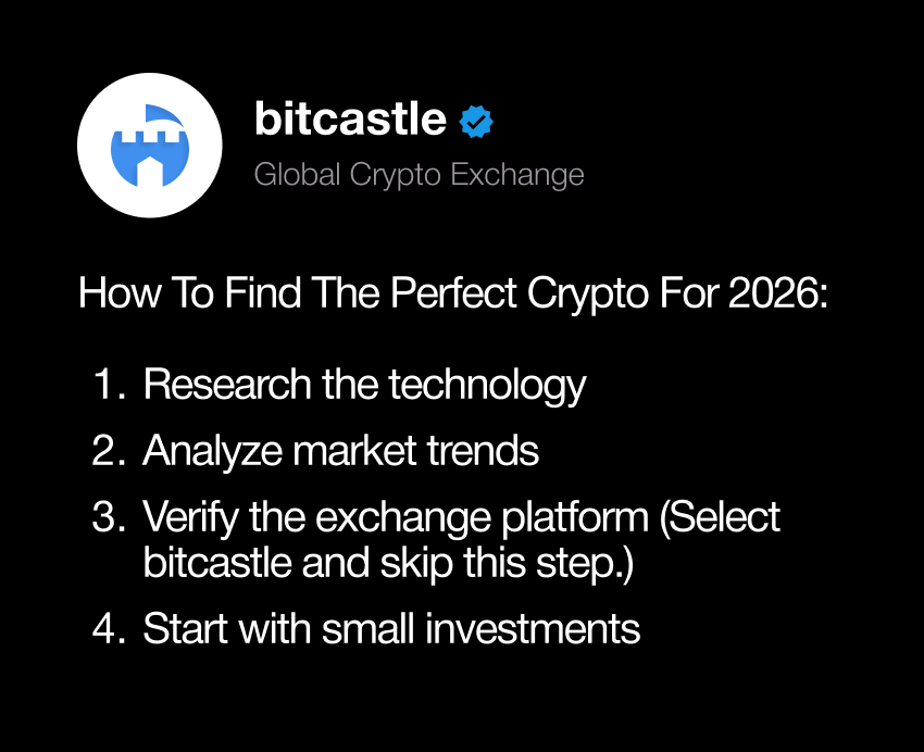 bitcastle tweet media