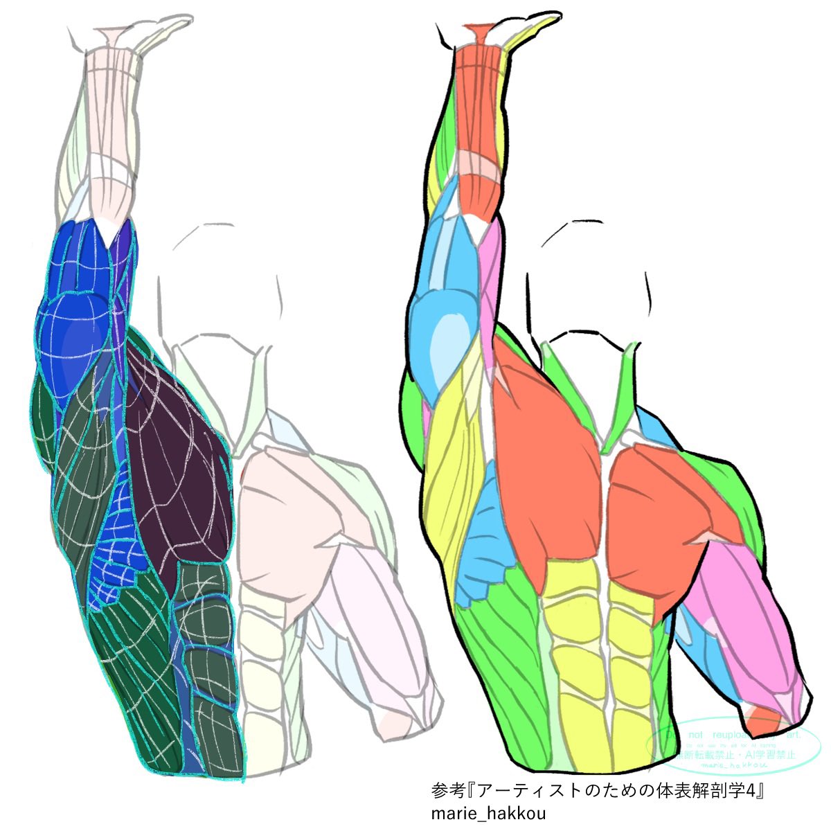講座の講義資料のため
トポグラフィー図を部分的に練習です

x.gd/KuGO9