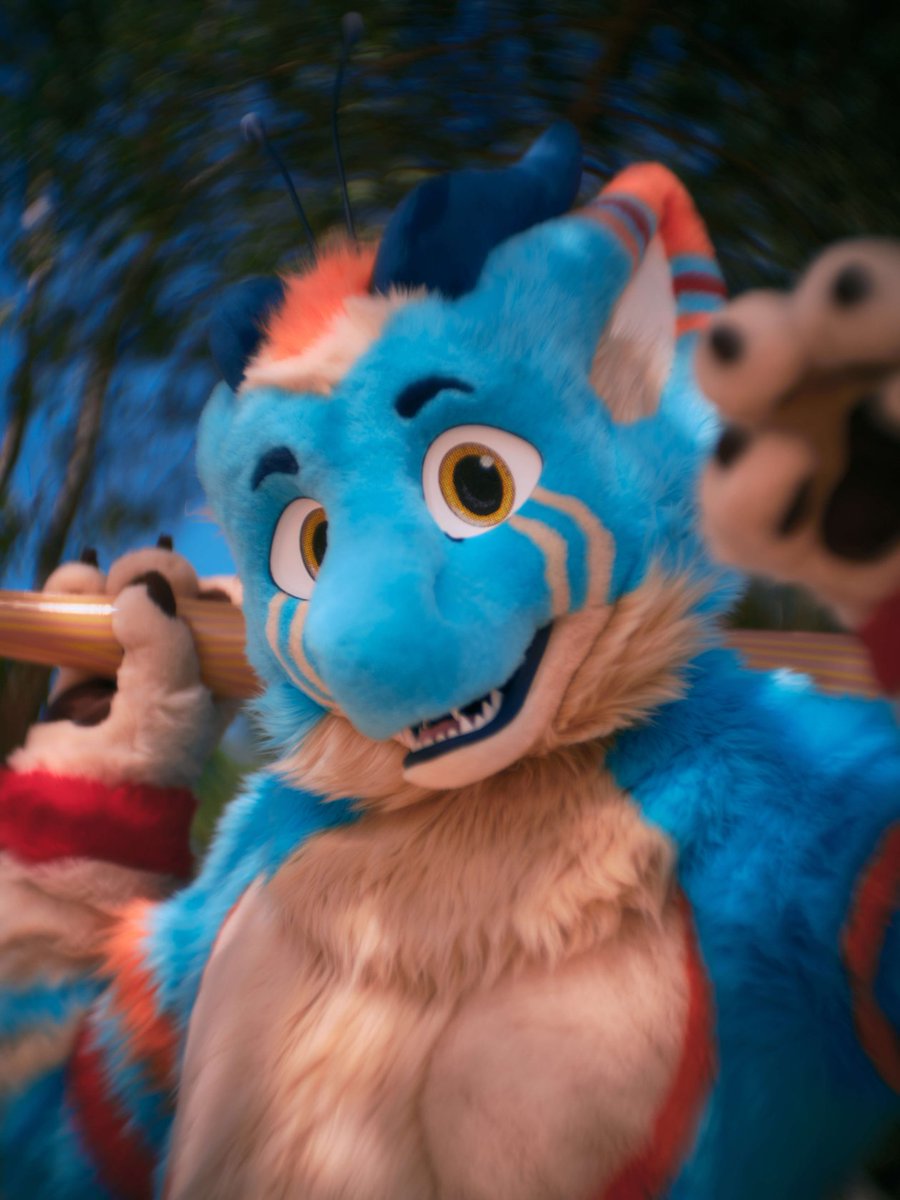 Fursuit Review tweet media