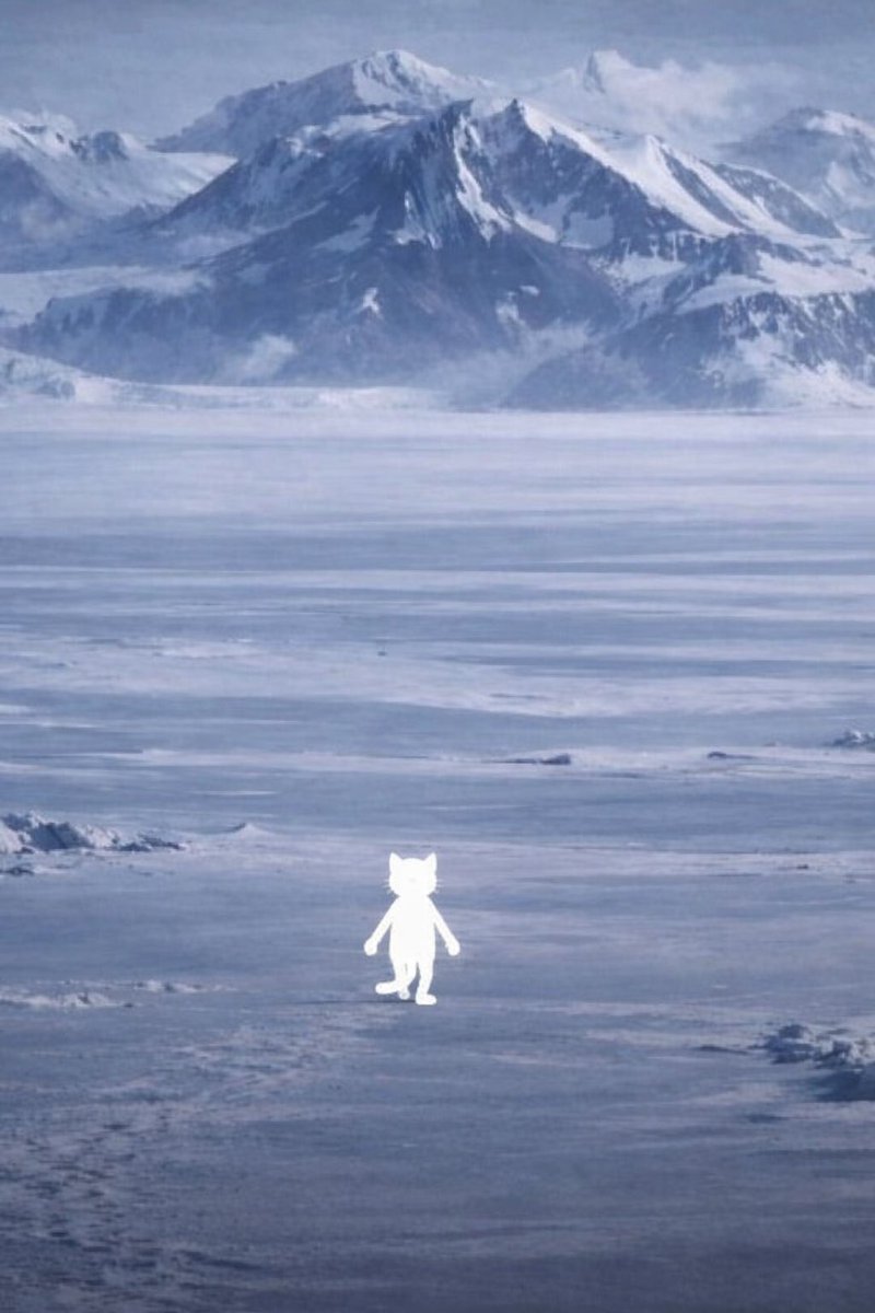 Schrödinger's Coin tweet media